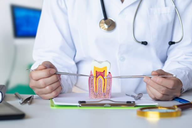 Best Walk-In Emergency Dental Services in Albany, TX
